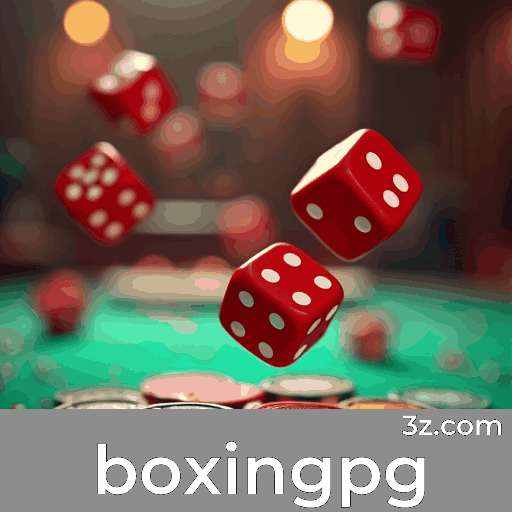 Desenvolvedores e Tecnologia no Plataforma Boxingpg